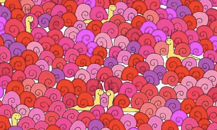 Rompicapo riesci a vedere il cuore tra le lumache? Il 99% abbandona