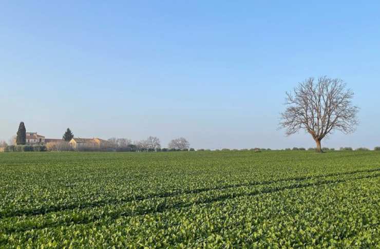 L'agricoltura un settore in crescita 