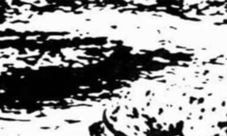 Test in bianco e nero: impossibile risolverlo