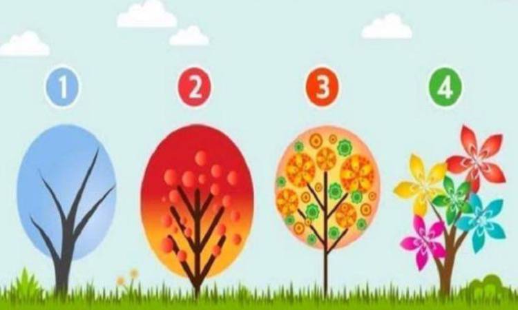 Test scegli un albero, ecco cosa ti guida nella tua vita
