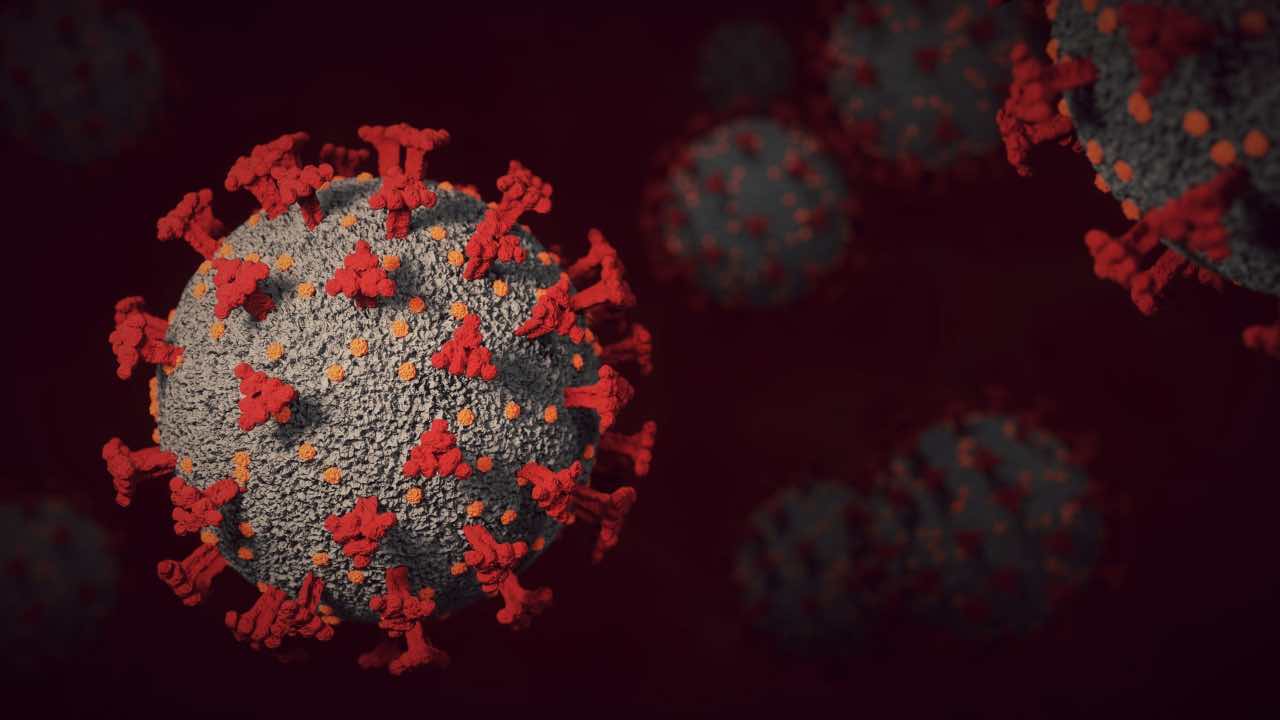 Virus: la nuova variante Omicron 2, ecco cosa sappiamo