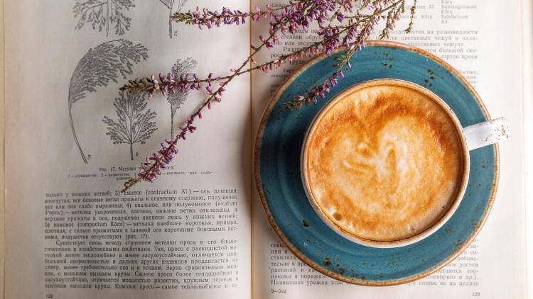 Caffè: non berne troppi (Pixabay)