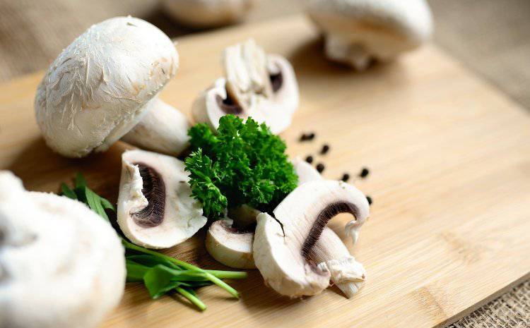 Funghi, unica fonte vegetale di vitamina D (Pixabay)