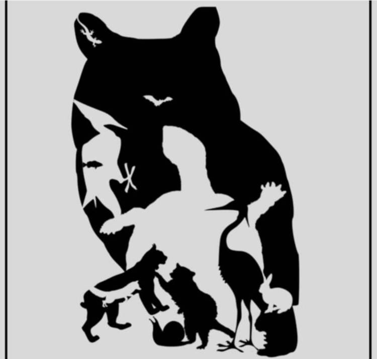Test di intelligenza: trova tutti gli animali