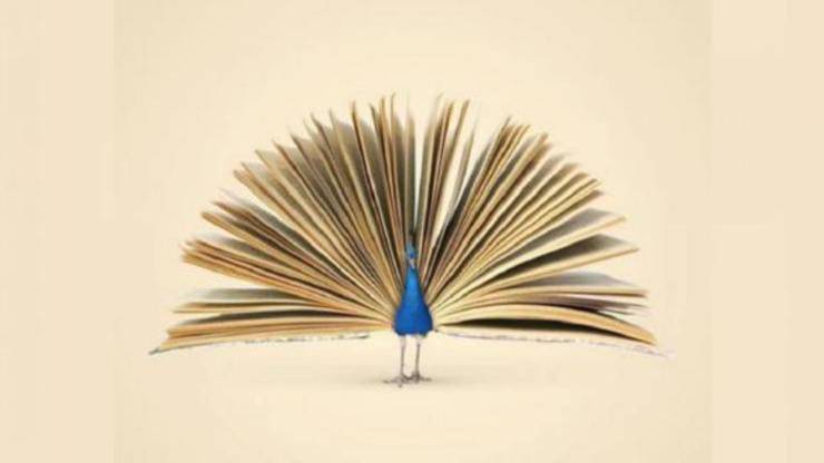 test.pavone_Leggilo.org_16.01.2022