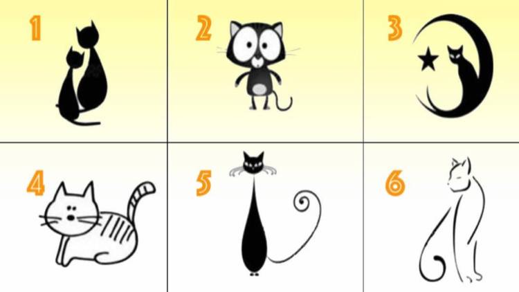 Test della personalità: scegli il gattino