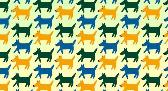 Rompicapo: un cane è diverso dall'altro, impossibile trovarlo