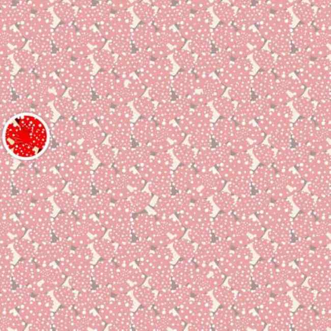 Test dei funghi: trovare l'intruso è impossibile