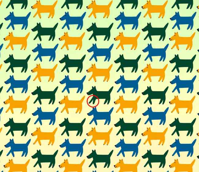 Rompicapo: un cane è diverso dall'altro, impossibile trovarlo