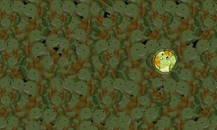 Test: trova l'intruso tra le tartarughe in 5 secondi, è impossibile