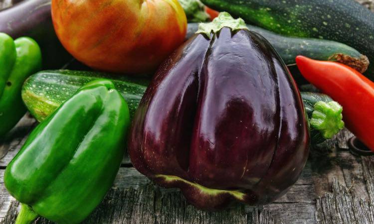 Melanzane, sono un frutto o una verdura?