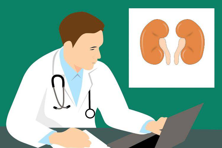 Sembra che anche la pipì riesca a fornirci delle informazioni molto importanti circa il nostro stato di salute. Dal colore delle urine, al numero di volte al giorno in cui sentiamo la necessità di andare in bagno. Possono darci molte indicazione sul nostro generale stato di salute. Possiamo dunque valutare in seguito i vari aggiustamenti necessari nel nostro stile di vita. CONTENUTO SPONSORIZZATO Mgid Mgid Ecco i 10 nomi più belli da dare a un bambino Momento Donna Se avete la prostatite o correte spesso in bagno, leggete urgente Prostatricum Lavora con Amazon da casa e guadagna 1.500 € al mese. Scopri come Amazon Vici I 6 sintomi di Omicron da non sottovalutare Brainberries Vediamo meglio di cosa si tratta. LEGGI ANCHE Mgid Mgid Ragazza di Roma: diventa ricca con Bitcoin senza comprarlo Bitcoin System La giovane milionaria in Roma racconta come è diventata ricca Bitcoin System La giovane milionaria di Lazio racconta come è diventata ricca Bitcoin System Ecco i 10 nomi più belli da dare a un bambino Momento Donna Si riesce, infatti, a determinare proprio grazie all’analisi della frequenza in cui si urina quanto si è effettivamente idratati. E’ quello che ha scoperto un famoso urologo americano, Neil Grafstein. Leggi anche OROSCOPO DELL’AMORE DI OGGI 6 FEBBRAIO 2022 Rayan non ce l’ha fatta. È morto il bambino estratto dal pozzo in Marocco Un informazione davvero preziosa per valutare un parametro che ha un forte impatto sulla salute del nostro organismo. Secondo le statistiche si fa pipì almeno quattro volte al giorno e fino a un massimo di sette. Questi valori possono però essere alterati da diversi parametri che devono essere presi in considerazione durante l’analisi del proprio stato di benessere. Il numero totale di volte in cui si fa pipì viene infatti influenzato da alcuni fattori tra cui la quantità di acqua bevuta, l’assunzione di alcolici, di caffè. O altre sostanze che possono provocare in caso di abuso una vera e propria irritazione della vescica. Un’eccessiva minzione può essere anche il sintomo di una vescica iperattiva. In questo caso, a patto che non si abbiano anche problemi di incontinenza. Il professore statunitense Neil Grafstein ha consigliato degli esercizi per “allenare” la vescica, in modo da ridurre al minimo il rischio di infezioni. Trattenere la pipì può essere utile in questi casi, ma è necessario prestare la massima attenzione ai campanelli d’allarme del proprio corpo e non esagerare, sapendo riconoscere i propri limiti. Il flusso di urina, a cui è correlata la frequenza della minzione, si indebolisce nel momento in cui si diventa più anziani. In caso doveste fare pipì meno di 4 volte al giorno o troppe volte, a parità di altre condizioni e stile di vita sano. È bene dunque consultare il proprio medico di fiducia che saprà trovare la giusta soluzione al vostro malessere.
