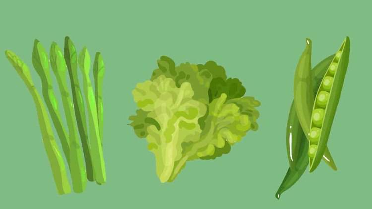 test verdure online