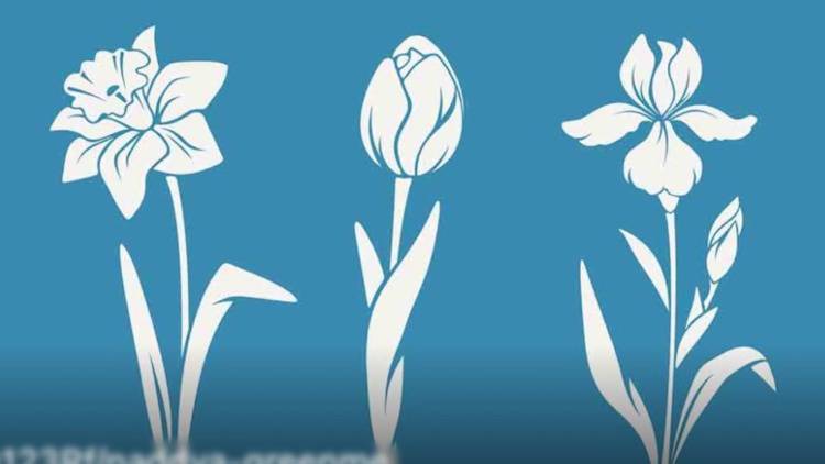 Test della personalità: scegli il fiore