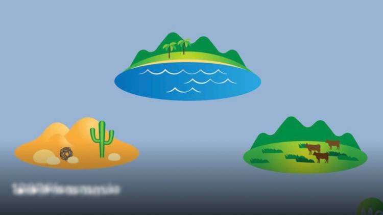 Test: oceano, foresta o deserto?