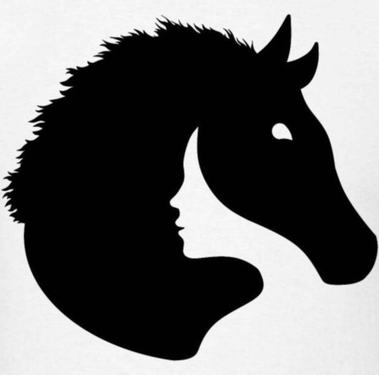 Test: osserva l'immagine, cosa vedi per primo?