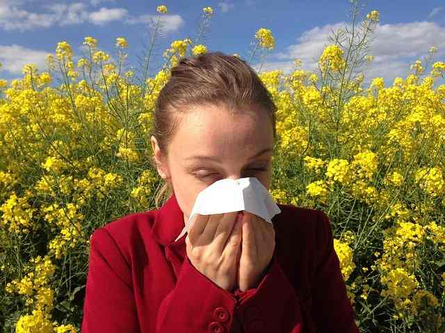 Covid o allergia? Come capire le differenze