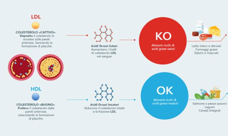 Colesterolo cattivo, come fare a ridurlo? Ecco 5 sane abitudini