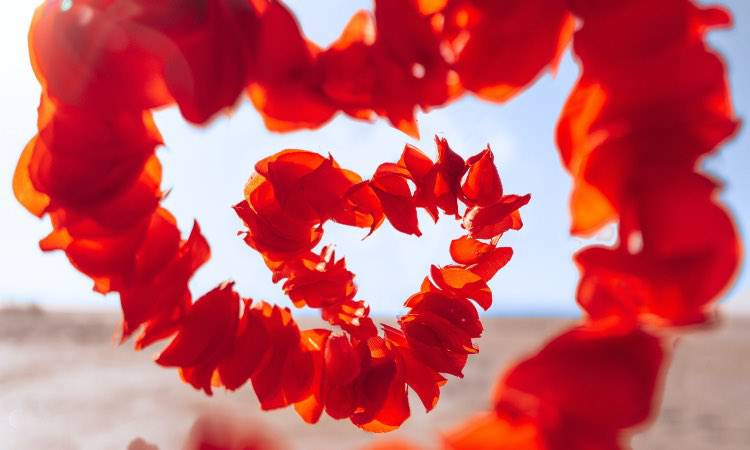 Stelle, i segni più ambiti in amore