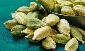 cardamomo benefici proprietà spezia 