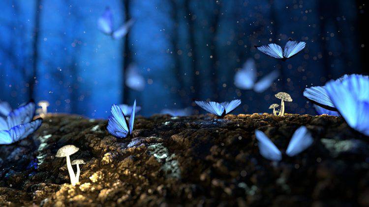 La fantasia come essenza dell'anima (Pixabay)
