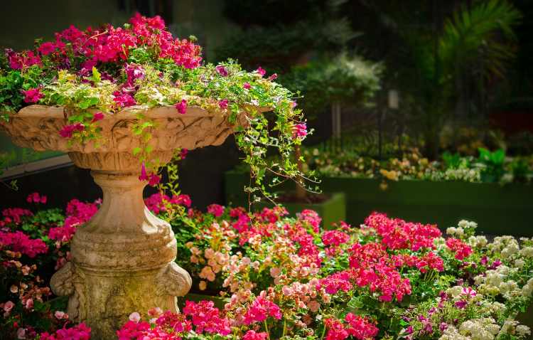 Giardino: utilizzi alternativi dell'aceto bianco (Pixabay)