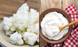 Kefir Yogurt differenze 