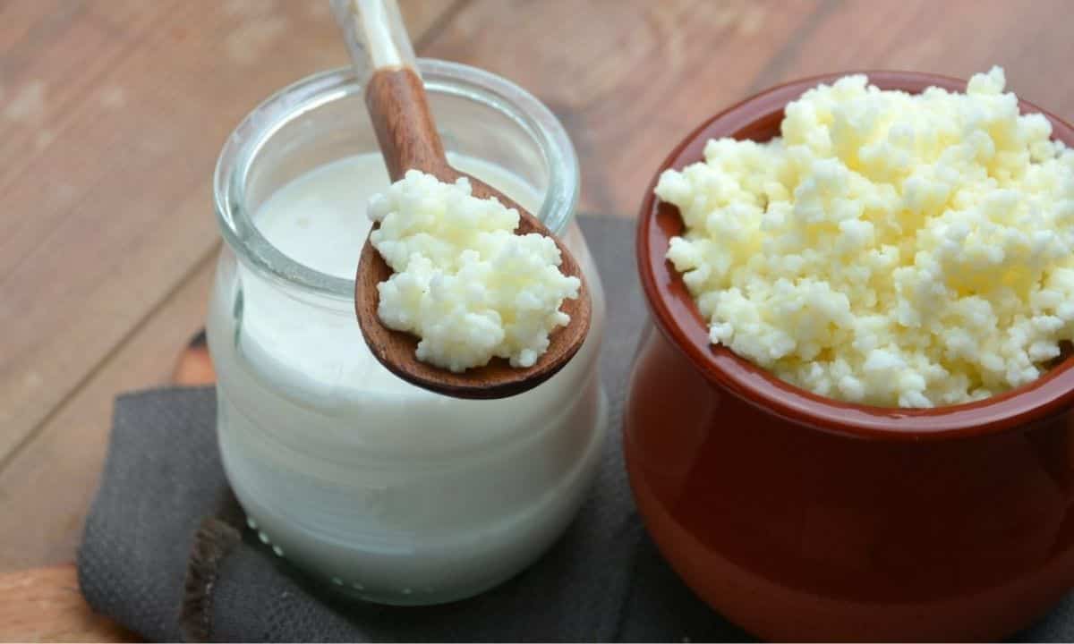 Kefir Yogurt differenze