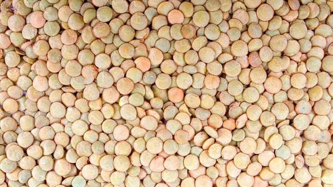dieta lenticchie benefici
