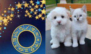 oroscopo segni zodiacali animali
