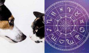 oroscopo segni zodiacali animali 