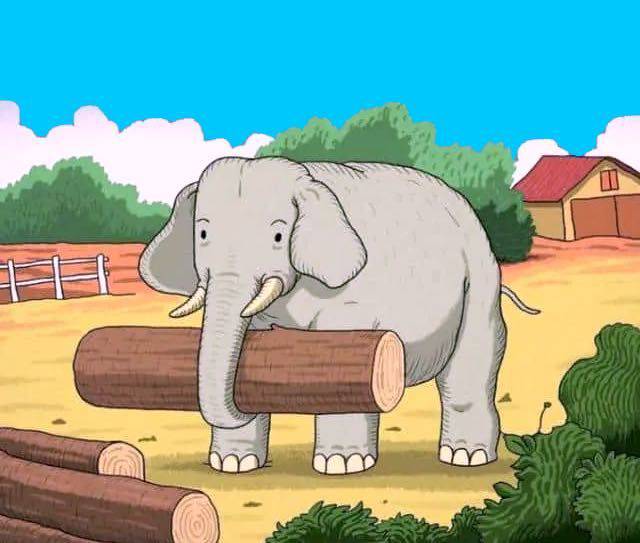 rompicapo animale nascosto