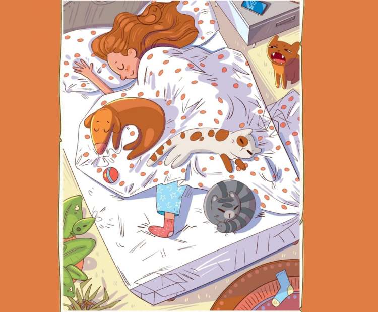 Rompicapo: riesci a trovare tutti gli animali?