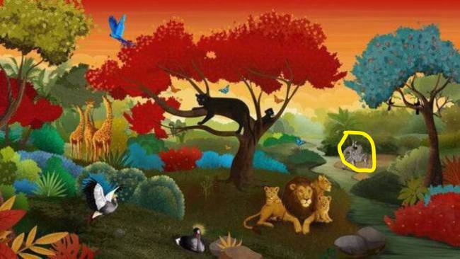 test quale animale vedi