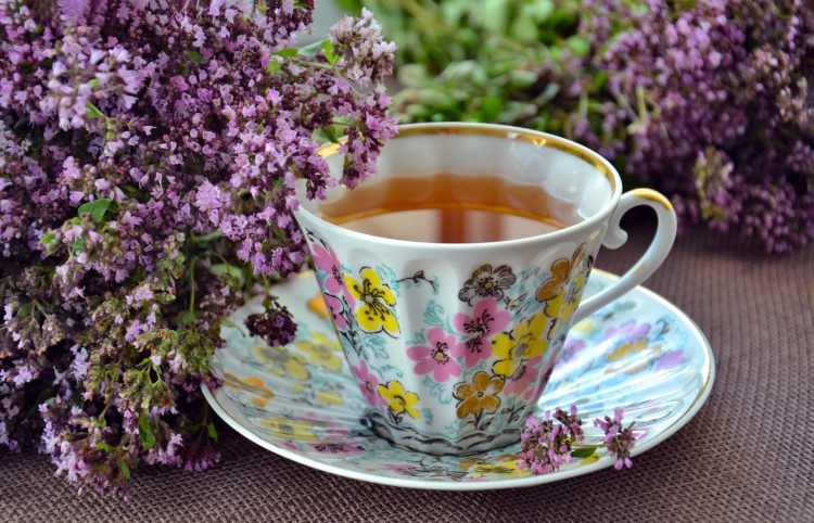 Le tisane infallibili per l'organismo (Pixabay)