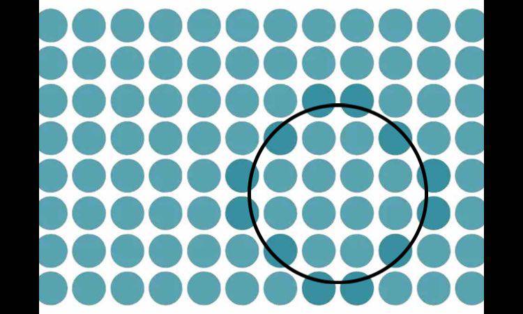 Soluzioni, trova le forme geometriche nelle illusioni ottiche