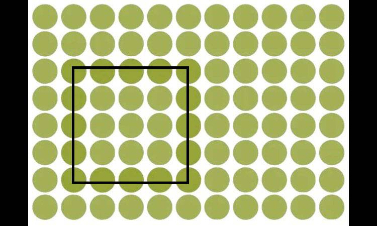 Soluzioni, trova le forme geometriche nelle illusioni ottiche