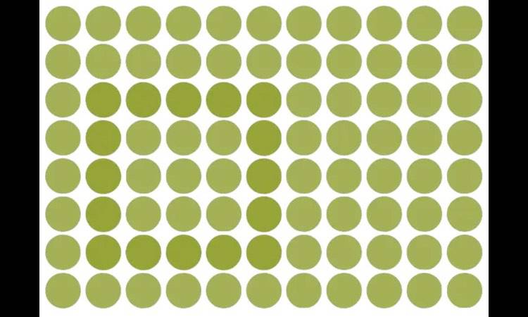Test, trova le forme geometriche nelle illusioni ottiche