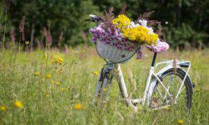 bicicletta vecchia riciclala