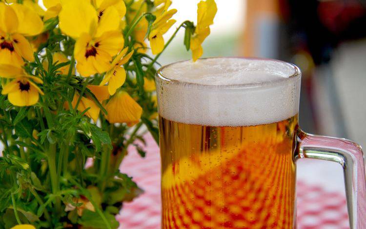 Birra: la migliore ha poco zucchero e basso grado alcolico (Pixabay)