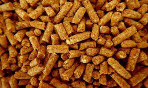 bollette risparmiare gas stufa pellet