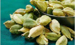 cardamomo tumore seno