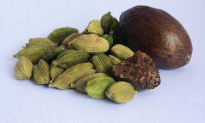 cardamomo tumore seno