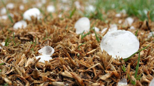 meteo pasqua pasquetta