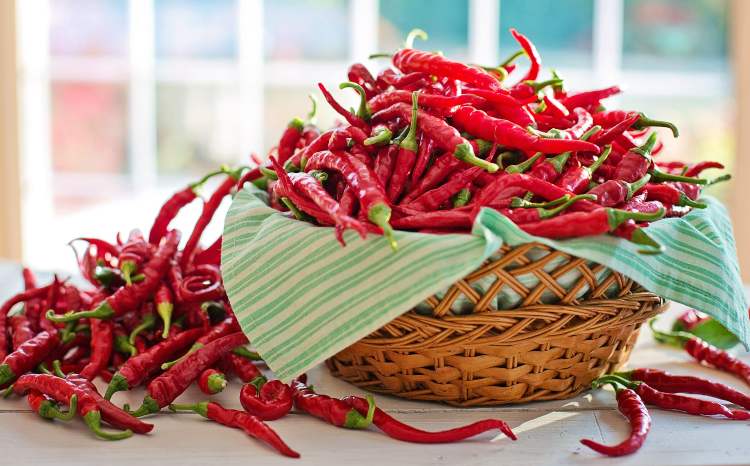 Peperoncino (Pixabay)