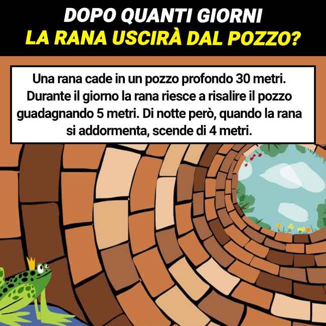 rompicapo rana