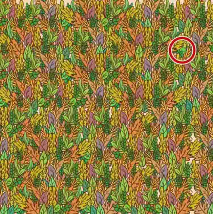 Rompicapo - Soluzione