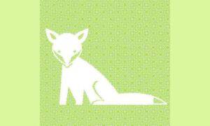test visivo trova animale