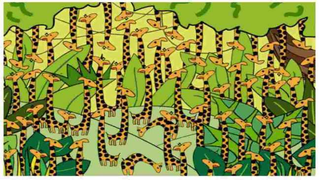 test serpente giraffe