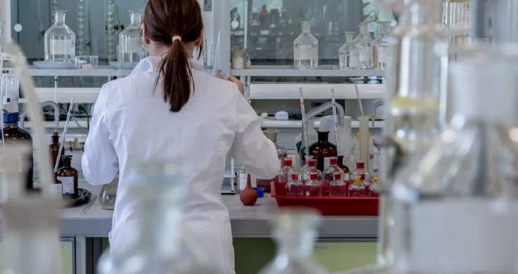 I risultati della ricerca